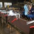 Рычажная струбцина BESSEY GH, 800х120 мм. BE-GH80